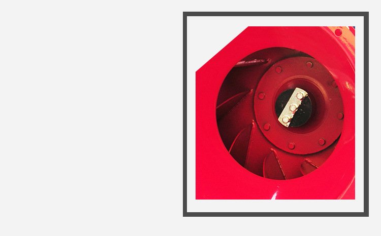 葉片細節圖 葉片細節圖