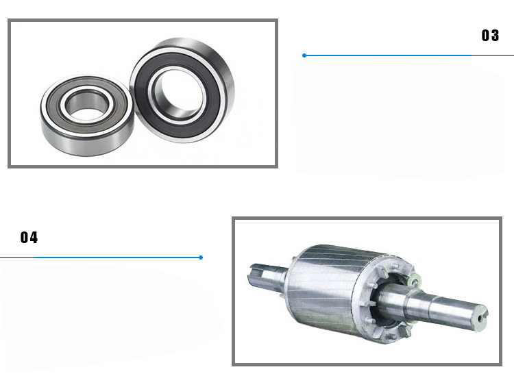 軸承、轉(zhuǎn)子圖