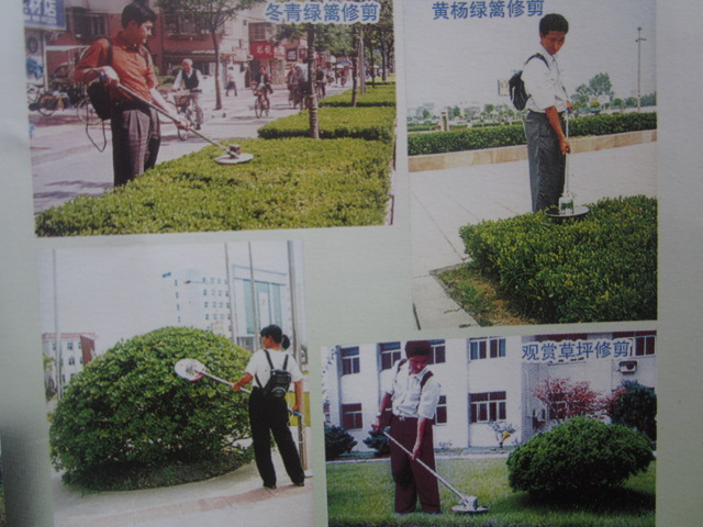 秦淮多功能電動割草機3