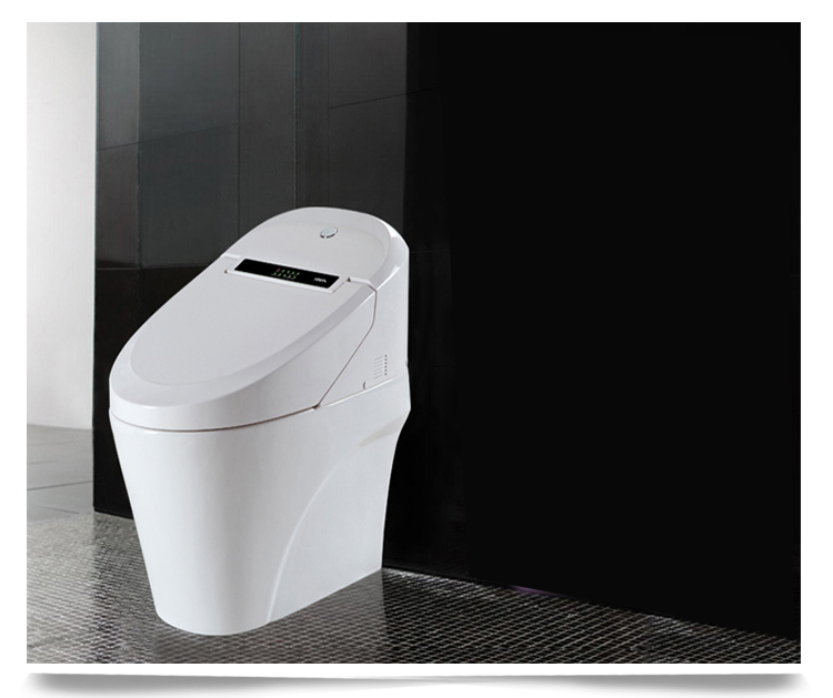 智能座便器實(shí)拍圖