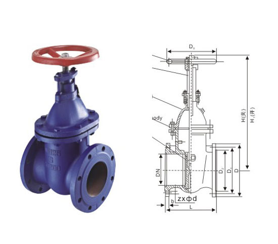 暗桿楔式閘閥詳解圖一