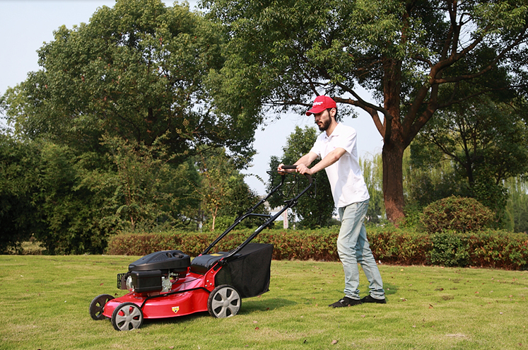 產品展示(二) 產品展示(二)