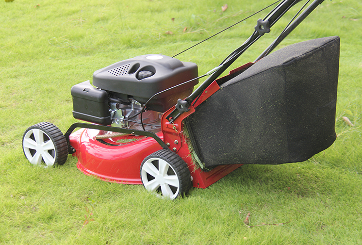 產品細節 產品細節