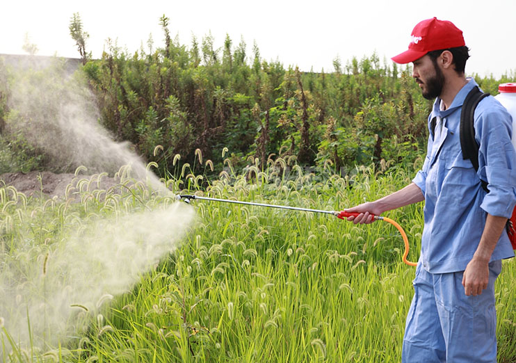 產品展示(三) 產品展示(三)