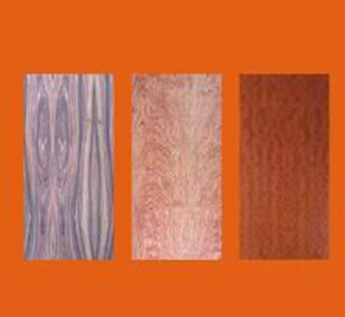 20180310-1520650054623190.jpg 1.jpg