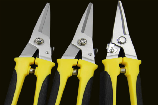 圖片展示 圖片展示