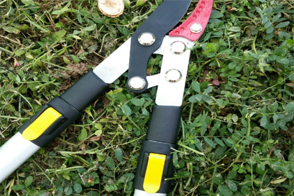 圖片展示 圖片展示