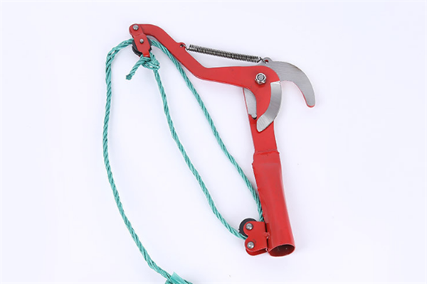 圖片展示 圖片展示