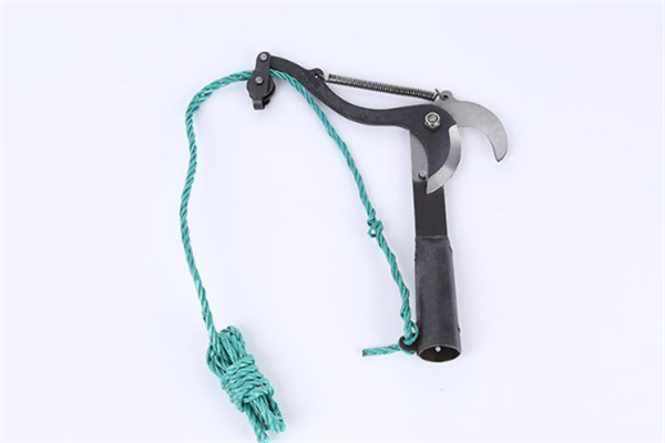 圖片展示 圖片展示