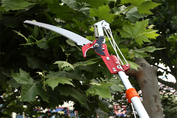 圖片展示 圖片展示