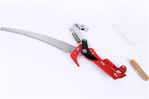 圖片展示 圖片展示