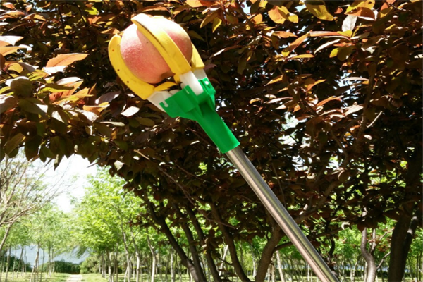 圖片展示 圖片展示