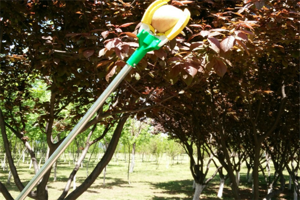 圖片展示 圖片展示