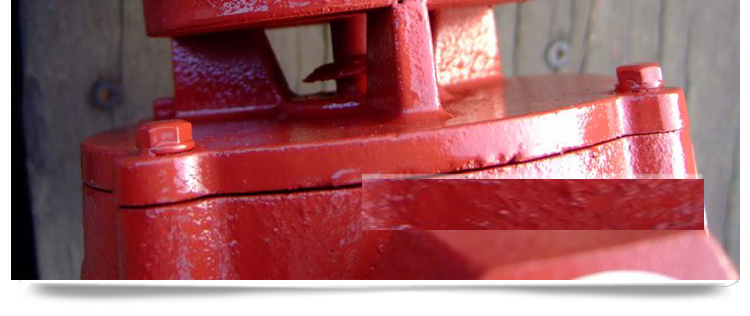 細節展示 細節展示