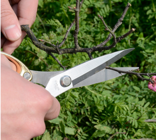 剪切示意圖 剪切示意圖