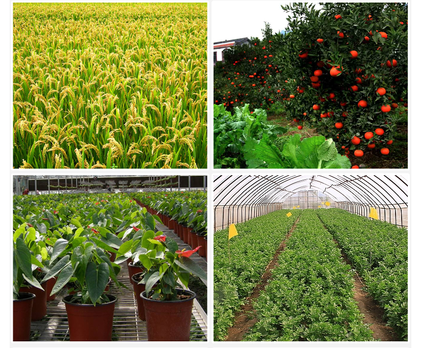 適用場所展示 適用場所展示